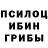 Псилоцибиновые грибы GOLDEN TEACHER bozhena popyuk